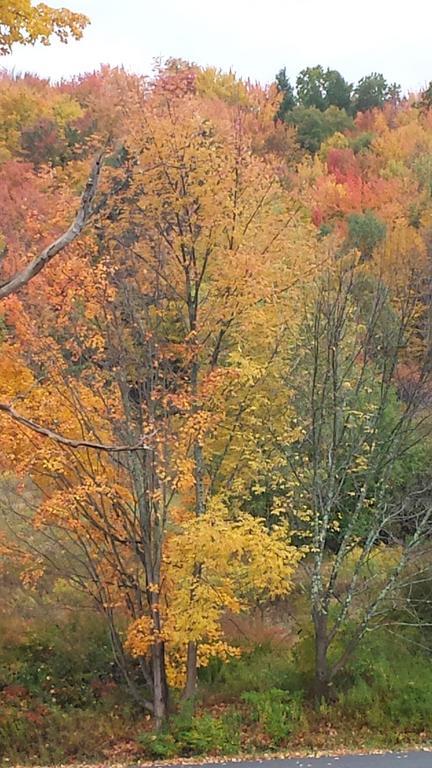 Margaretville Mountain Inn B&B Dış mekan fotoğraf