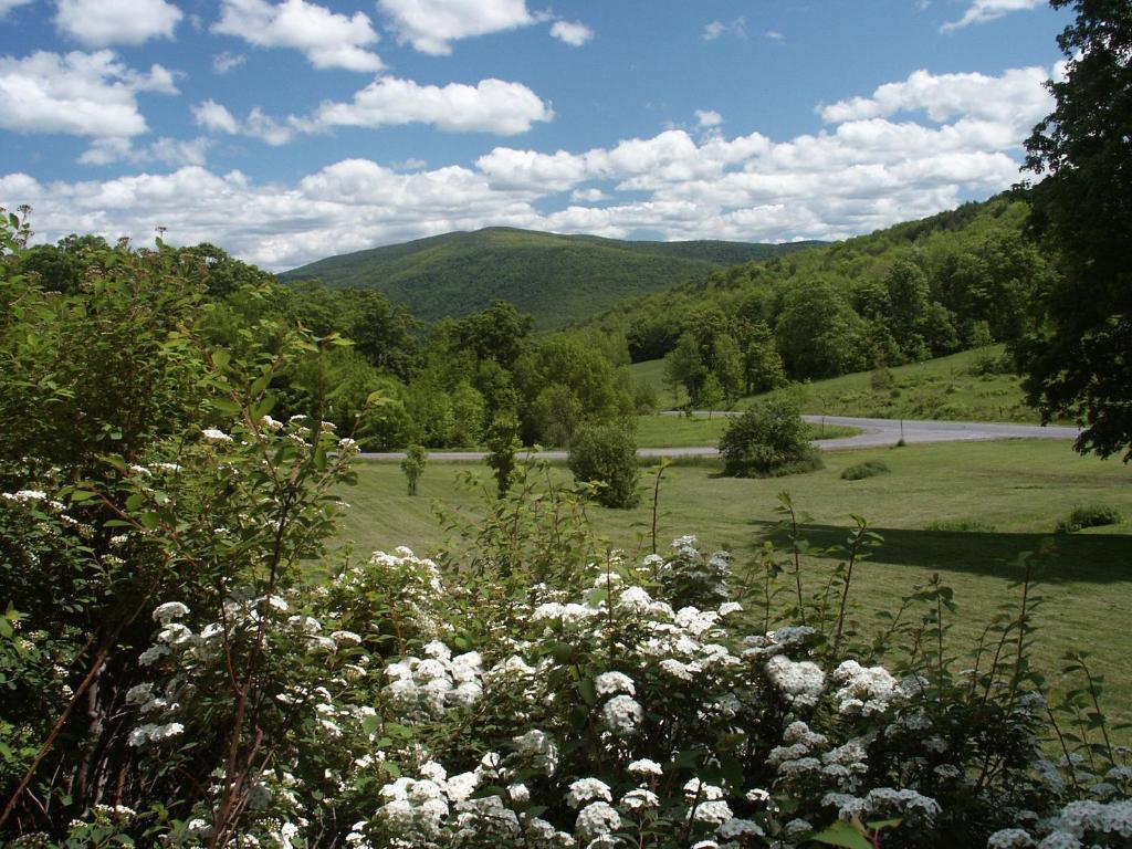 Margaretville Mountain Inn B&B Dış mekan fotoğraf